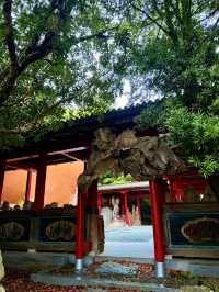 松山｜穿越洞穴抵達千與千尋的異世界？神秘的「風土記之丘」