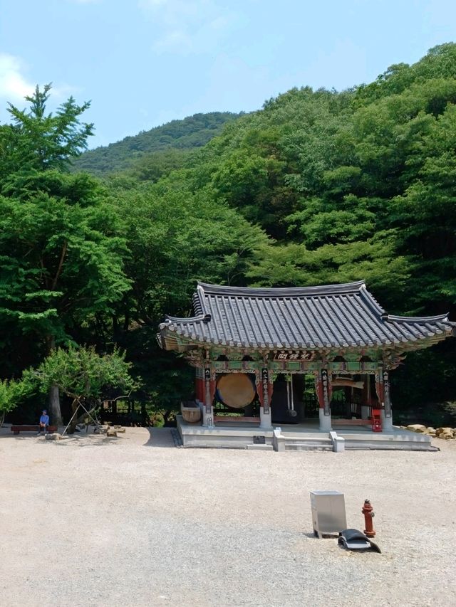 풍경 맛집 옥천사