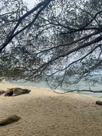 relax with the beach view 
