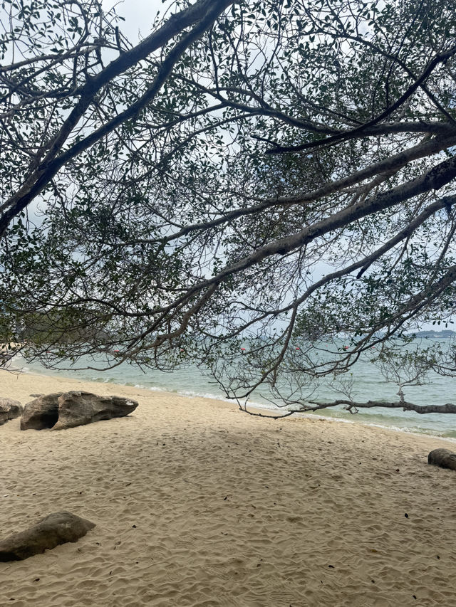 relax with the beach view 