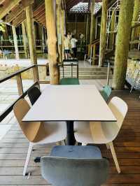 Refuel and Reset — Pineyard Café Stopover