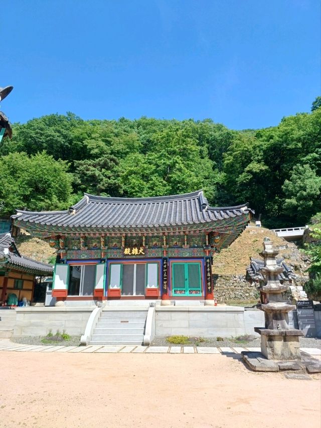 숲속의 고즈넉한 천년고찰 🕊️