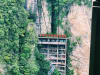 🌄⚡️ Flying Through the Sky: Zipline Adventure in Zhangjiajie Grand Canyon