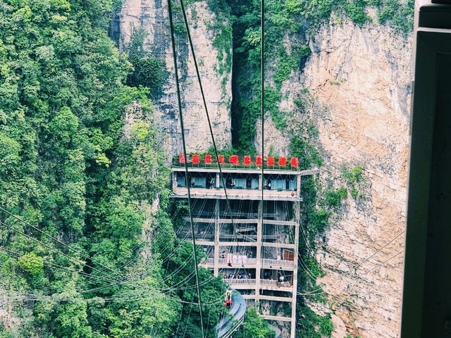 🌄⚡️ Flying Through the Sky: Zipline Adventure in Zhangjiajie Grand Canyon