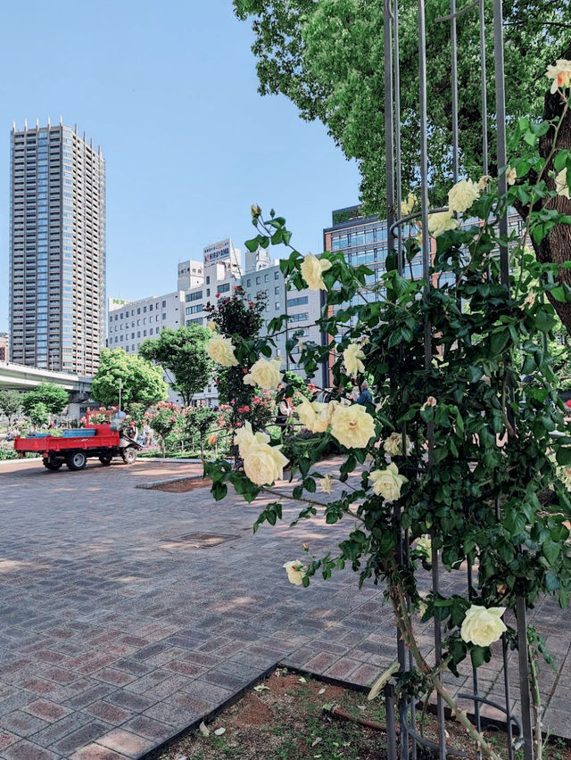 The Nakanoshima Rose Garden