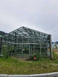 고산 지대 식물들이 전시되어 있는 알파인하우스🏡