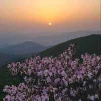 Hiking Goheonsan