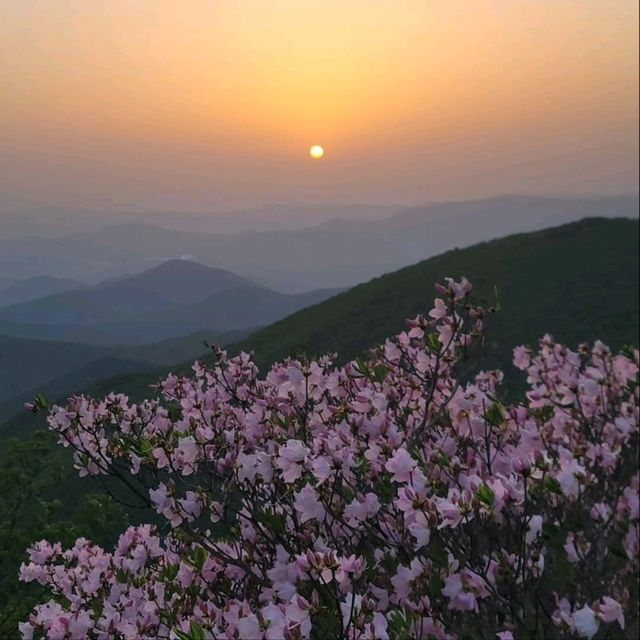 Hiking Goheonsan