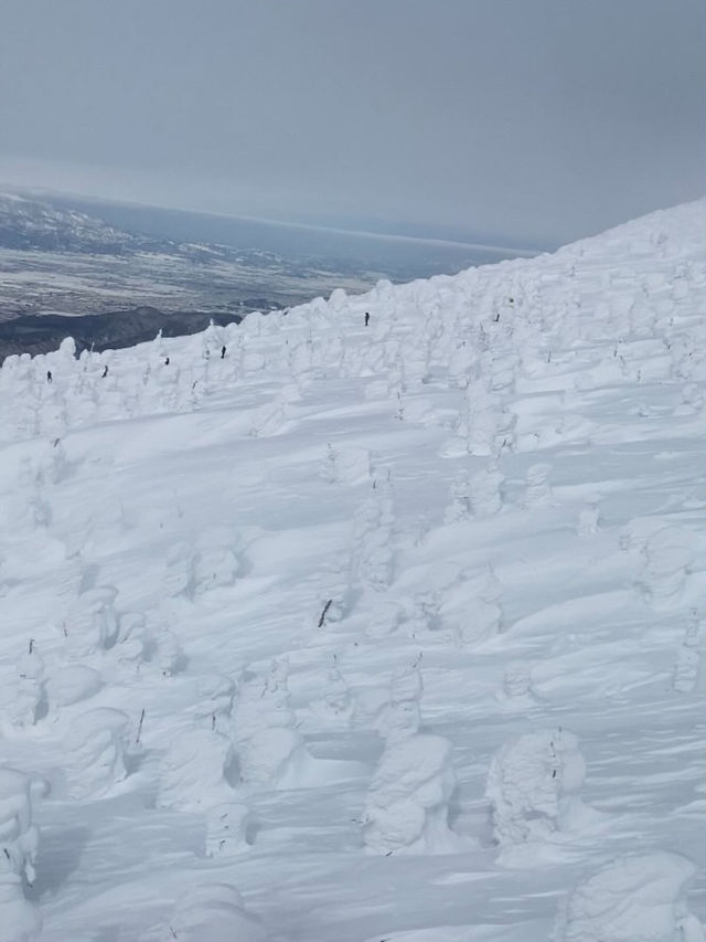 ❄️【山形・蔵王温泉＆樹氷】自然の神秘と温泉が待つ、極上の山旅