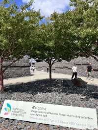  📍 National Arboretum Canberra｜綠意與建築的共鳴樂章