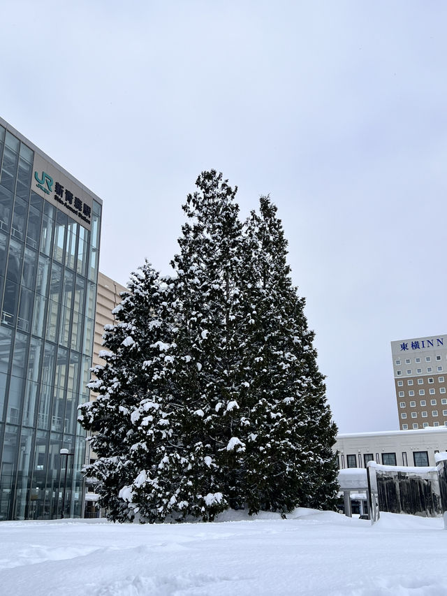 ❄️《走進雪的國度：青森，降雪量驚人的冬日魔法》⛄