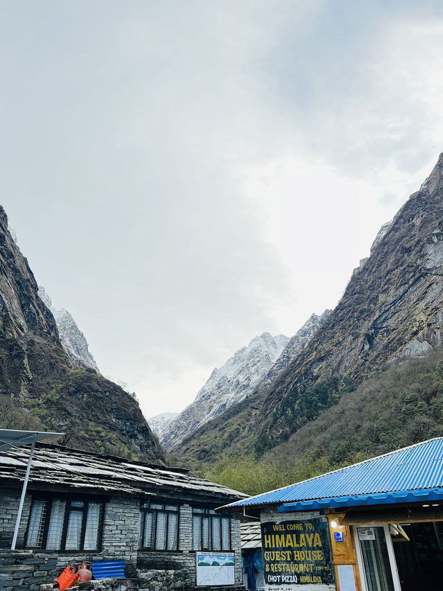 Annapurna Calling