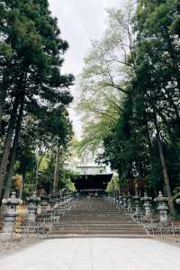 ⛩仙台東照宮！🌸櫻花季很美！
