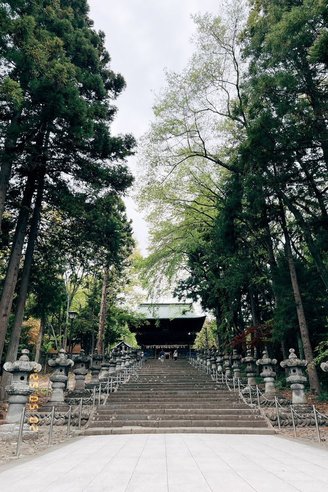 ⛩仙台東照宮！🌸櫻花季很美！