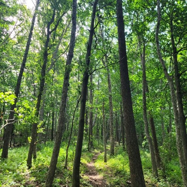 Peaceful Trails & Peak Feels at Baekdeoksan 