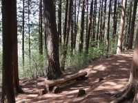 🌳부산에서 제일 아름다운 힐링 숲
