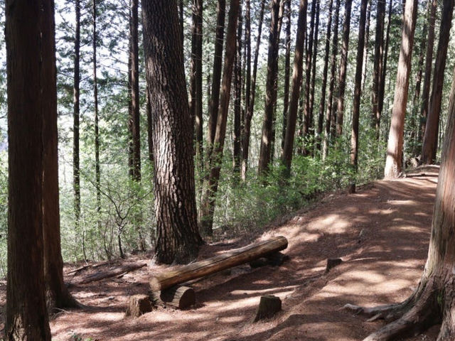 🌳부산에서 제일 아름다운 힐링 숲