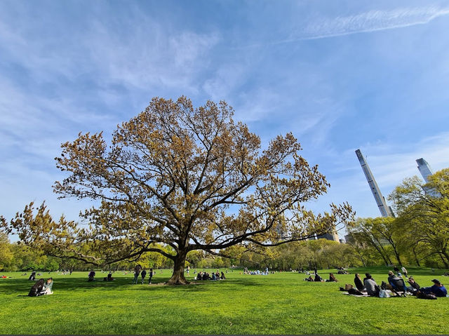 紐約生活日常｜在中央公園來一場紐約式野餐