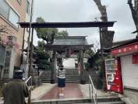 福岡漫遊：城市綠意與屋台的悠閒協奏曲