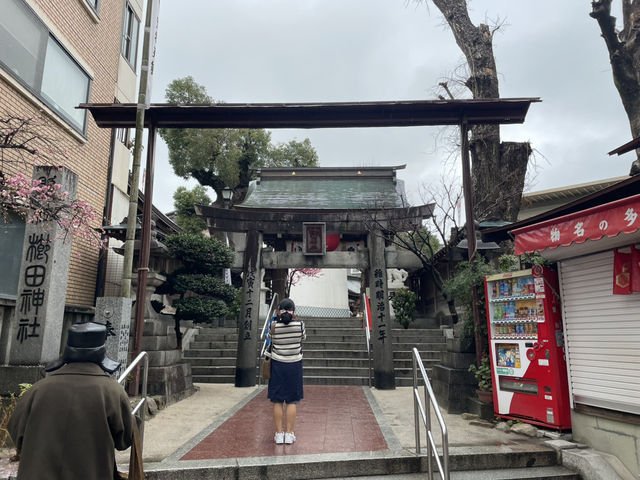 福岡漫遊：城市綠意與屋台的悠閒協奏曲