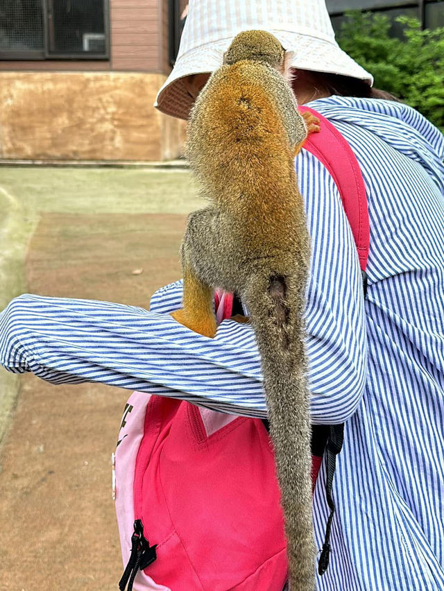長崎Bio park- 教育與感動兼具的動物園