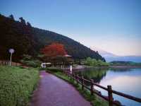 ทะเลสาบทานูกิ (Lake Tanuki / 田貫湖) — ทะเลสาบเล็ก ๆ 