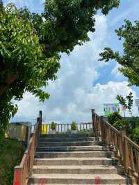 🌿 桃園八德｜高城埤塘生態公園：水鳥會跑來打招呼的靜謐小天地 🐦✨