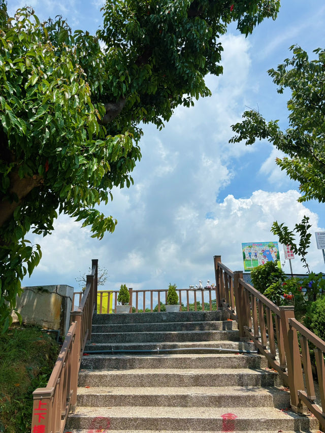🌿 桃園八德｜高城埤塘生態公園：水鳥會跑來打招呼的靜謐小天地 🐦✨