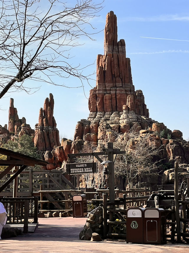 《ディズニーランド・パリ》フランス