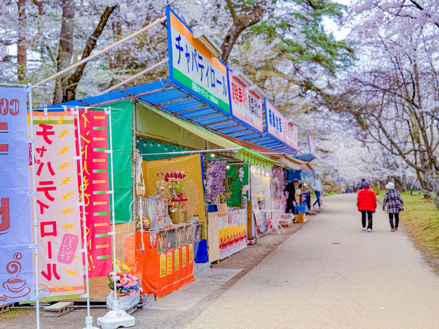 ปราสาทฮิโรซากิ (Hirosaki Castle / 弘前城)