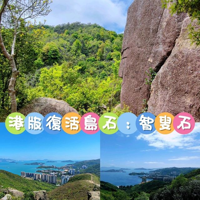 🗿港版復活島石🗿