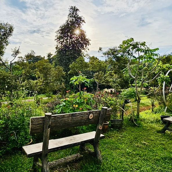 Peaceful Getaway at Koref Desaru Leisure Farm