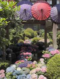  🌸茨城｜雨引観音（雨引山 楽法寺）  安産・子育てにご利益あり、四季折々の花々に包まれる参拝と癒しのスポット