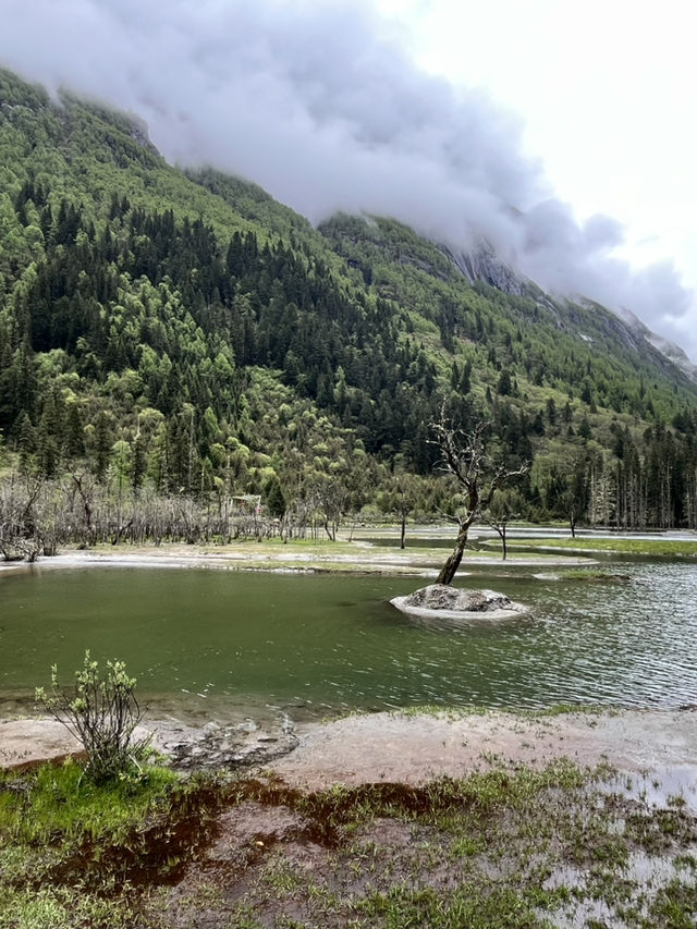 双桥沟 Scenic Escape | The Most Effortless Way to Enjoy 四姑娘山’s 