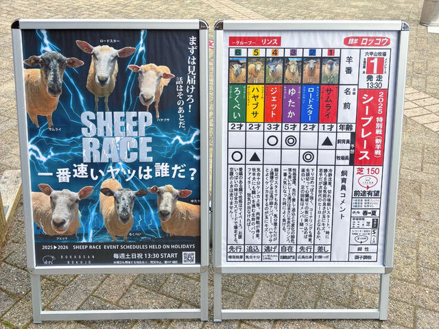 Rokkō Mountain Pasture: This Place is Seriously Like an Anime! 🐐🌸