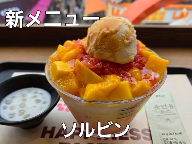 【韓国】ソルビン　パッピンス