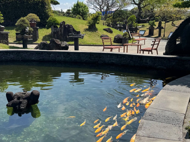Jeju Island's Hidden Gem: Sosokkak — A Place of Thought and Healing! 🌳🧘‍♀️
