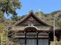 The hidden charm of Uji Town 
