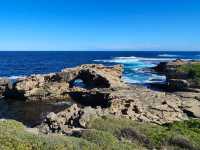 A Quokka Selfie, Ocean Breeze & Ferry Views – My Perfect Day at Rottnest Island!
