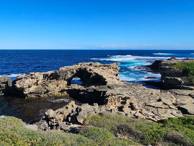 A Quokka Selfie, Ocean Breeze & Ferry Views – My Perfect Day at Rottnest Island!