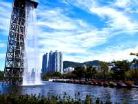 Nature preserve in Busan, South Korea