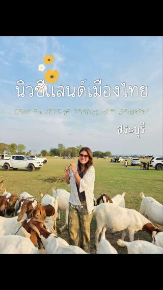 นิวซีแลนด์เมืองไทย สระบุรี