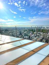 Shibuya Sky: Tokyo from Daylight to Dazzling Night 