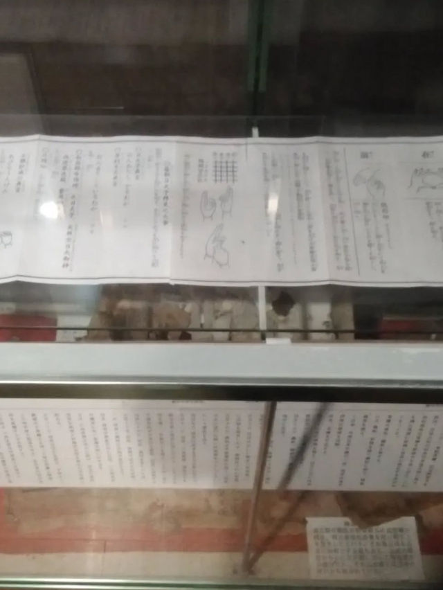 【忍者になれるテーマパーク⁉️】甲賀の里 忍術村で非日常体験の旅🌀