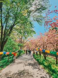 Flower Park at Munsu Temple