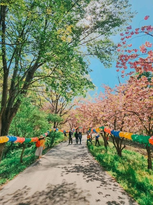 Flower Park at Munsu Temple