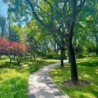 ～玉照公園～綠綠的美～