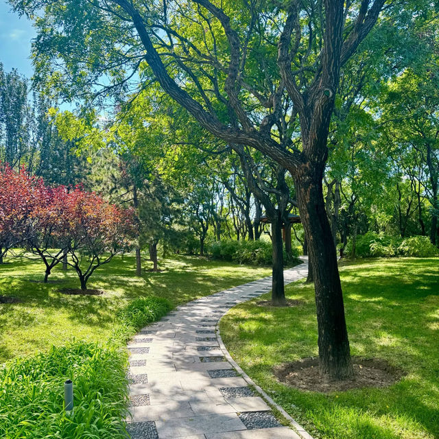～玉照公園～綠綠的美～
