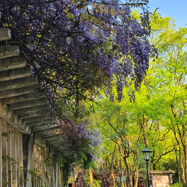 ～廣豐公園～水墨畫美景～