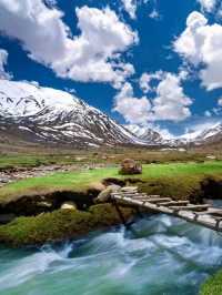 🏞️ Nubra Valley – The Desert in the Sky 🌄🐪